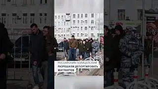 Российским полицейским разрешили без решения суда депортировать мигрантов