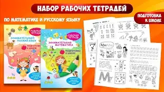 Набор рабочих тетрадей Подготовка к школе по математике и русскому языку. Обучение счету, письму