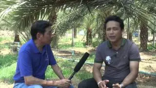 โลกเกษตรไทย กาญจนบุรี ตอน อินทผลัมผลสด ๑