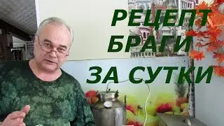 Как сделать брагу за сутки? Рецепт браги от 