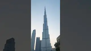 Dubai short come to Dubai 