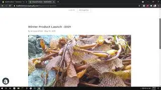How to Add Blog to Shopify and Create Category, Allow Comments, & Add to Navigation/Menu