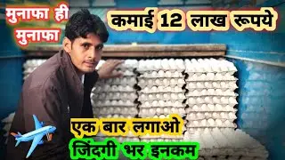 Layer Poultry Farming Farming In India | How To Start Layer Poultry Farming