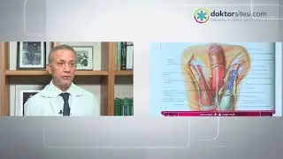 Testis ağrıları (Epididimit - Orşit) nedir? Tanı ve tedavisi nasıldır?