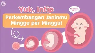 Perkembangan Janin Minggu per Minggu