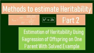 Estimation of Heritability Part 2 | Regression of Offspring on One Parent