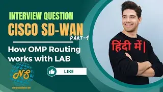 [Hindi] Cisco SD-WAN Interview Questions | OMP Routing | How it works| LAB | Troubleshooting Part1