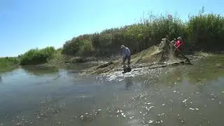 Рыбалка бреднем неводом руками острогой. Браконьерство