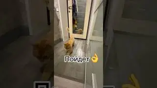 Как найти середину 🤷🏻‍♀️ 