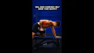 Will Back Exercises Grow Your Biceps