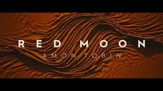 Amon Tobin: Red Moon