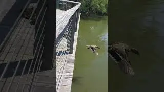 Nature is so beautiful ❤️