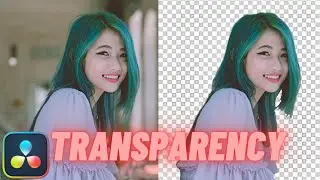 How To Export Transparancy Video In Davinci Resolve 19 Tutorial