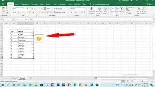 How to insert pictures in the comment box in Excel