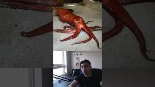The Scariest Things Found in The Ocean #2 🤔