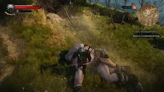 The Witcher3 invisible Cyclop bugg