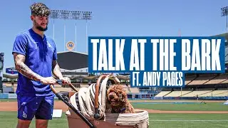 Talk at the Bark with Andy Pages | Presented by TAVO