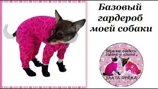 28. Базовый гардероб моей собаки