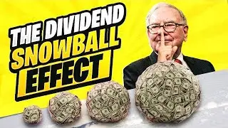 20 Dividend Stocks To Buy Now | Cashflow & Dividend Investing