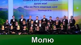 Молю | Надежды светлый луч | Концерт хора Кредо | Адвентисты Москвы | Христианские песни