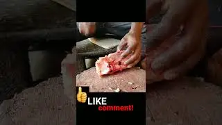 catfish cutting 😋🤗😌|| #bigcatfish|| #satisfying|| #niceskill|| #shorts