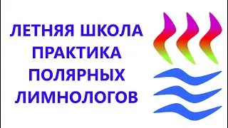 Гидрохимические особенности водных объектов Карелии в условиях антропогенного воздействия