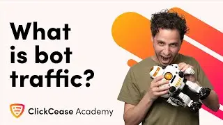 What is Bot Traffic? | ClickCease Academy