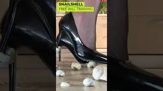 Cat Pumps vs. Snail shells! Oddly Satisfying Heels Crushing Things! ASMR