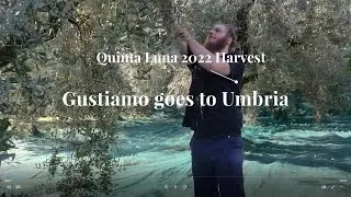 Gustiamo goes to Umbria: Pizzeria Ida's Dan + Erika