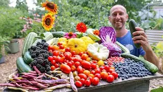 Astonishing July Garden Harvest 😮