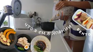 HOW TO KEEP BODY YOUNG: Japanese healthy routine (easy recipes).