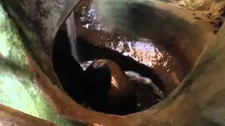 Модель 