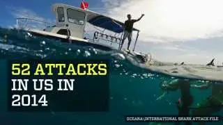 How to survive a shark attack