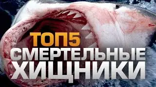 ТОП5 Смертельных ХИЩНИКОВ