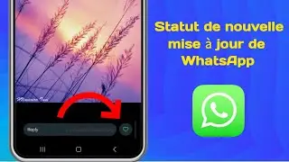 Option J'aime sur le statut WhatsApp - Nouvelle mise à jour de WhatsApp