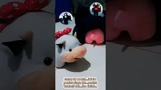 sapi kameraman dan genjik spikerman bermain ngumpet