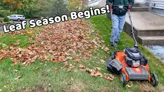 Mowing Grass & Leaves in the Rain - Mid October