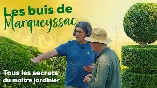 Comment avoir de beaux buis ? Le jardinier de Marqueyssac nous livre ses secrets (taille, Pyrale..)