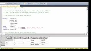 Using the IN Operator in SQL