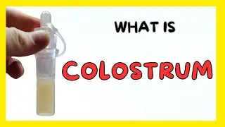 What Is Colostrum - What Is Colostrum Good For