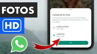 Cómo Enviar Fotos En HD Por WhatsApp Sin Perder Calidad | Nueva Función Oficial 🚀