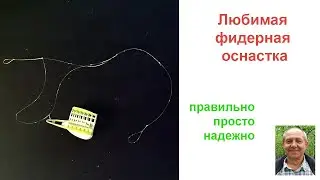 Любимая фидерная оснастка