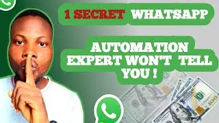 HOW I MAKE 100K WEEKLY HELPING PEOPLE SET UP WHATSAPP AUTOMATION | MAKE MONEY ONLINE