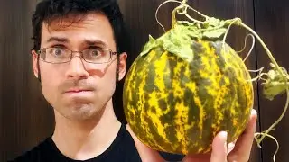 Crazy Looking Melons in Algeria - Weird Fruit Explorer