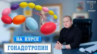 Чем опасно применять гонадотропин  на курсе тестостерона 