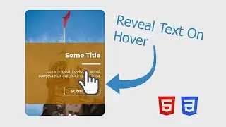 Card Hover Text Reveal Animation with HTML and CSS