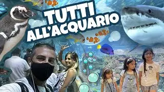 Acquario Barcellona Pesci animali bambini