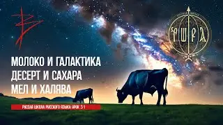 Урок 31. Молоко и Галактика. Десерт и Сахара. Мел и халява. Игорь Малинин