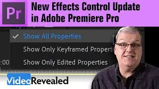 New Effect Control Update in Adobe Premiere Pro