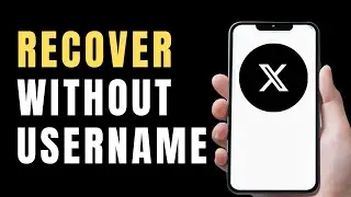 How to Recover X (Twitter) Account Without Username